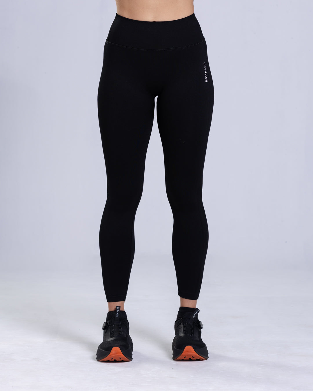 Aurea Seamless Legging