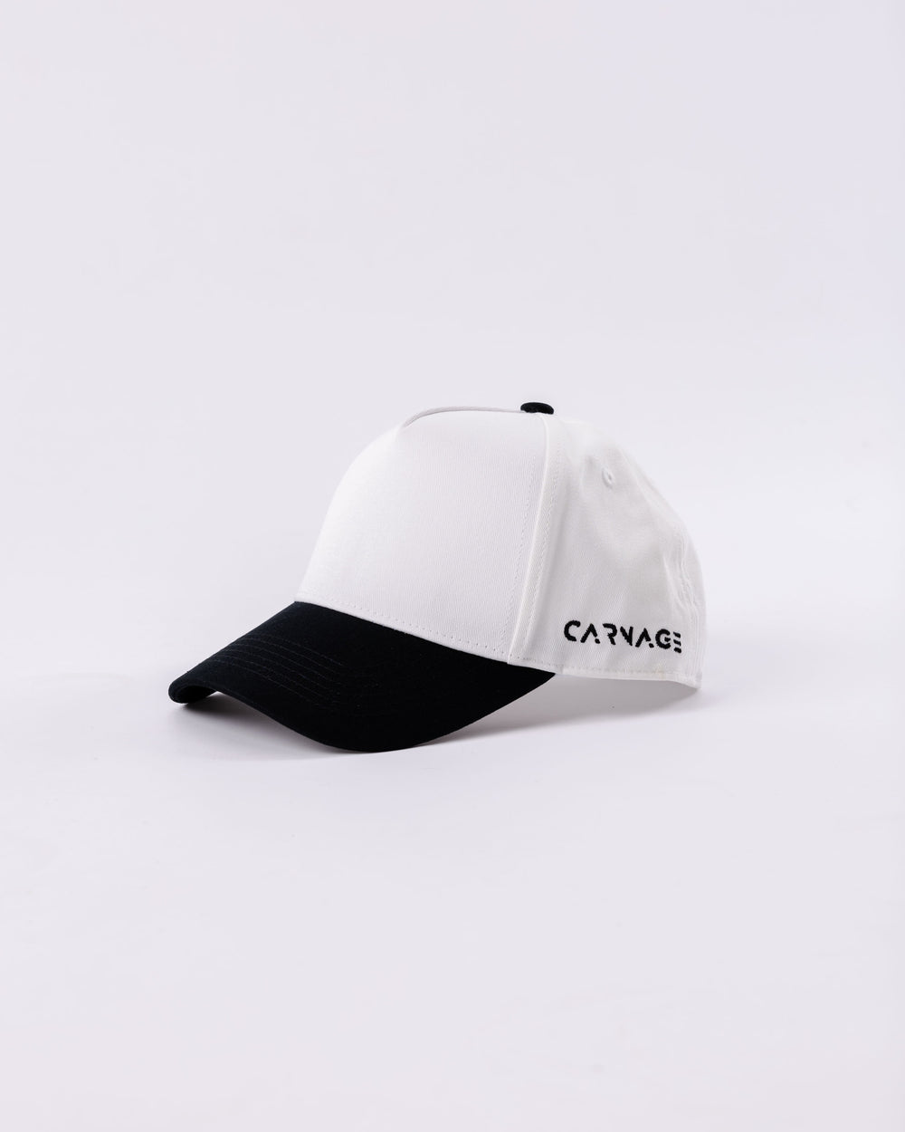 Vintage Baseball Hat