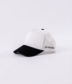 Vintage Baseball Hat
