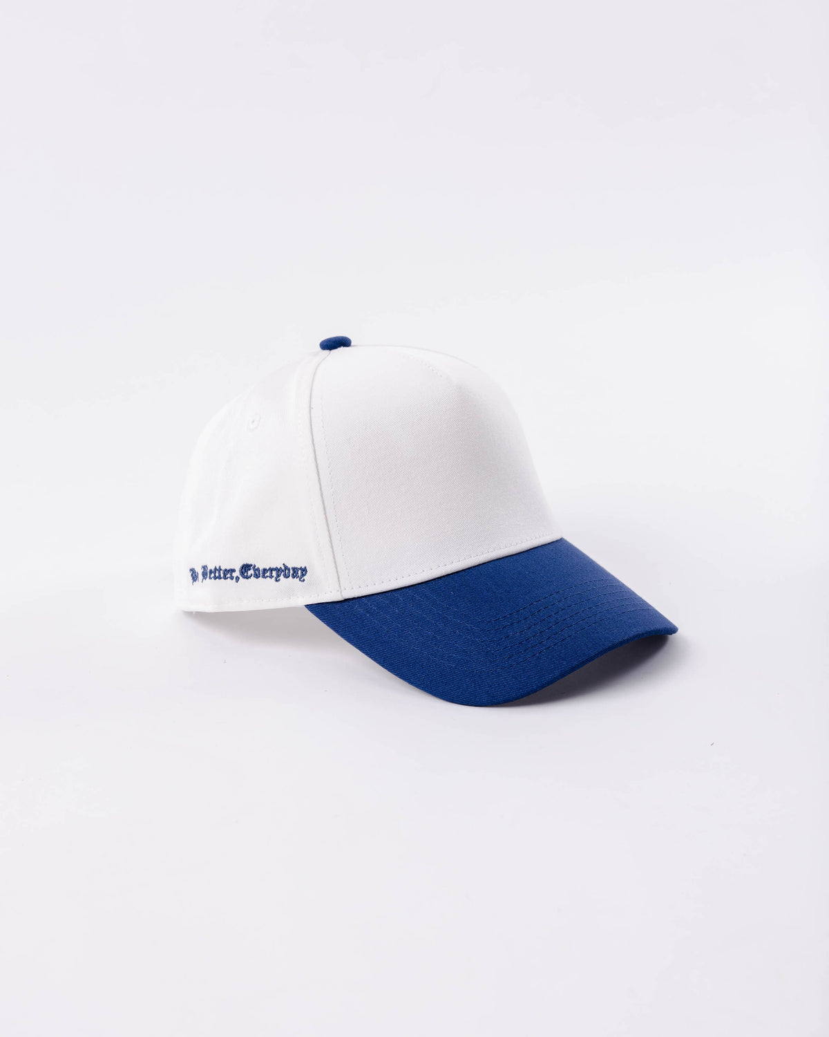 Vintage Baseball Hat