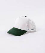 Vintage Baseball Hat